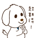 LP-Chao20Qi20Dai20-01.jpg